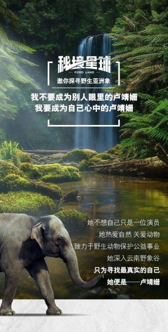 春雨直播app